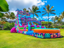 NEW!!! 18ft dual lane Te Fiti