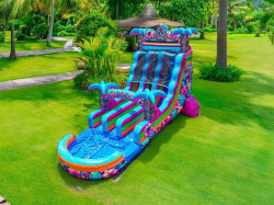 IMG 2196 1767721787 NEW!!! 18ft dual lane Te Fiti