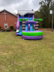 NEW!!! 18ft Dual Lane Purple Plummet